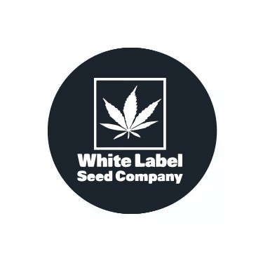 Semi regolari White Label